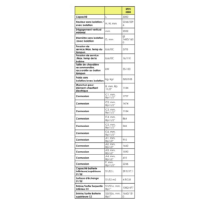 Ballon Tampon BT2S 2 Serpentins 5000L